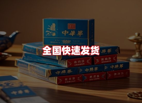 专业团队